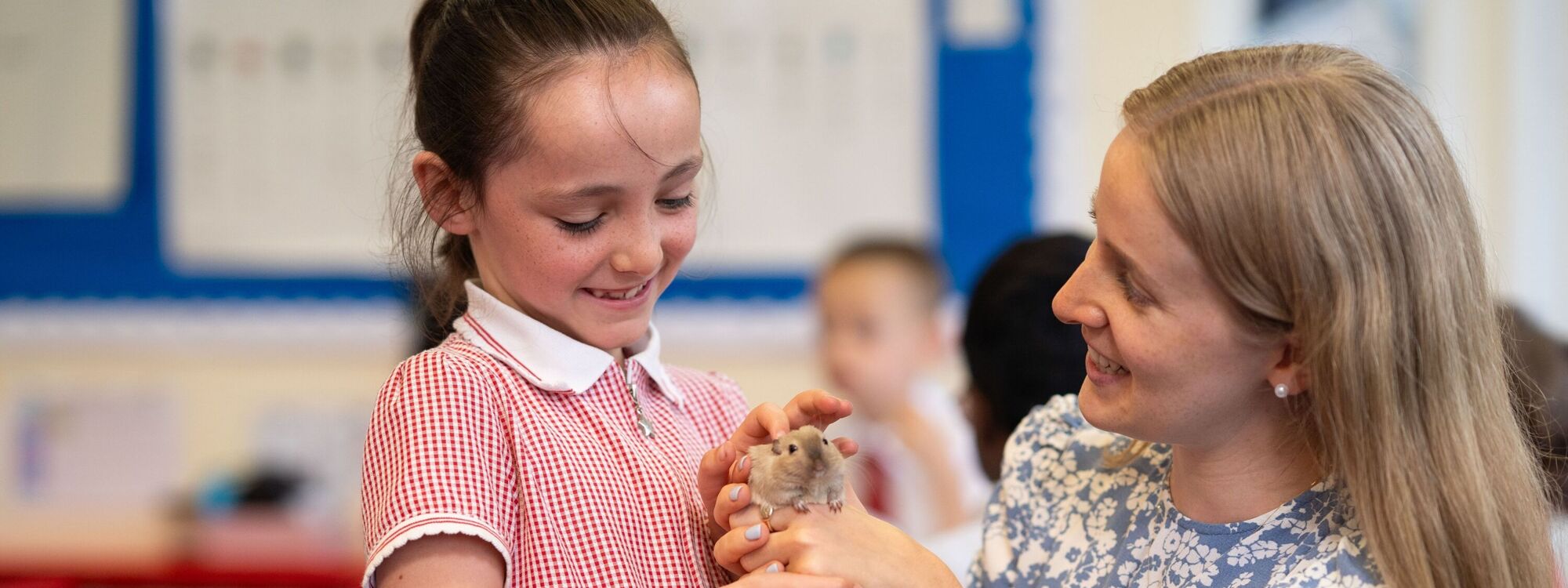 St Mary's Catholic Primary School
